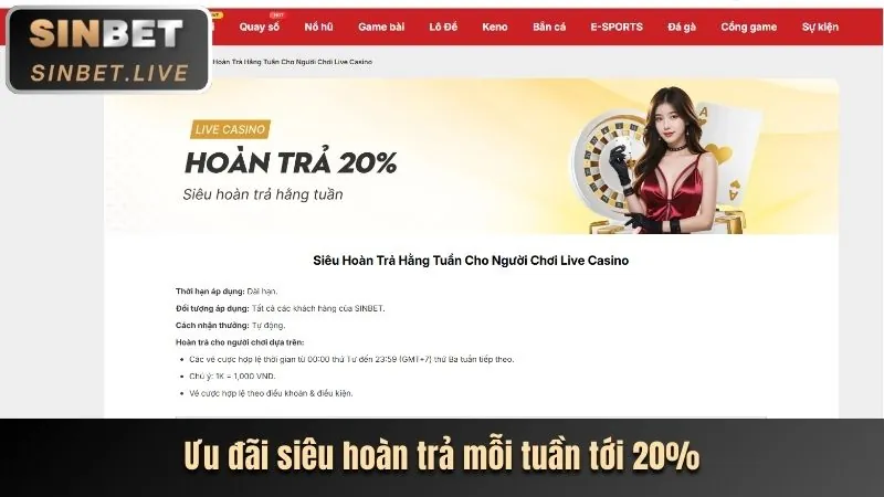 Hoàn trả hàng ngày/tuần tại K9WIN